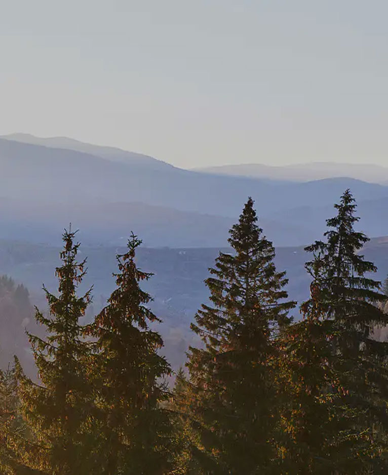 Ban Melamine thiết kế da